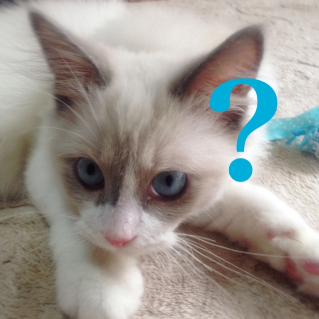 「２人に１人はガンになる」の裏側にひそむウソや勘違い